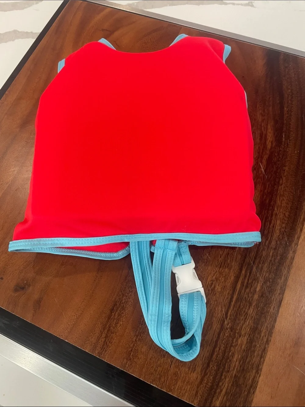 Disney Red Kids Swim Vest with Mickey & Pluto and Light Blue Trim